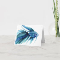 Poisson Bêta Bleu