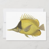 Carte Poisson Chelmon Longirostris Tropical Jaune, Poiss (Devant)
