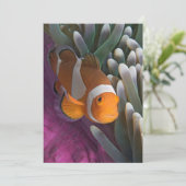 Carte Poisson clown occidental (Debout devant)
