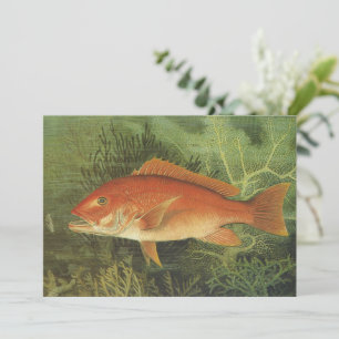 Carte Poisson de Snapper Rouge dans l'océan, Vintage Mar