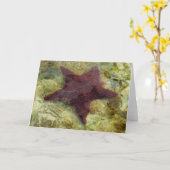 Carte Poisson étoilée sous-marine aux Bahamas (Fleur jaune)