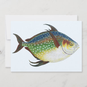 Carte Poisson Opah Tropical, Animal Marin Aquatique Vint