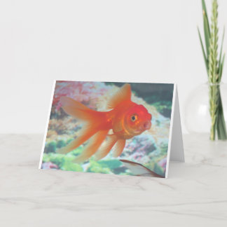 Carte Poisson rouge parlant