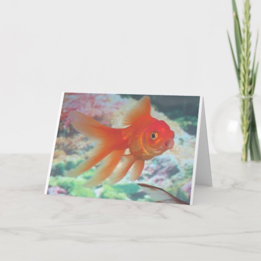 Carte Poisson rouge parlant (Devant)