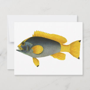 Carte Poisson vintage bleu et jaune, Vie marine