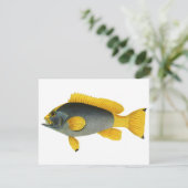 Carte Poisson vintage bleu et jaune, Vie marine (Debout devant)