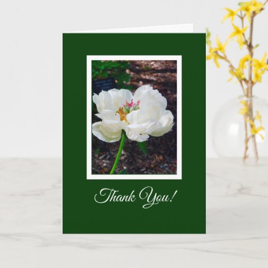 Carte Poitrine Florale/Blanche/ Merci (Fleur jaune)