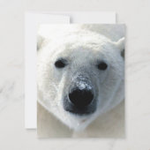 Carte Polar Bear Flat Card (Devant)