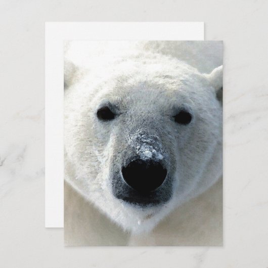Carte Polar Bear Flat Card (Devant / Derrière)