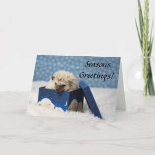 Carte Polar Pog "Joyeuses Fêtes"
