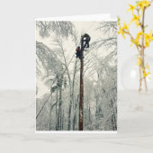 Carte Pôle d'escalade de ligne restauration de puissance (Fleur jaune)