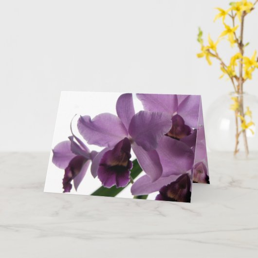 Carte polyvalente de salutation/invitation de (Fleur jaune)