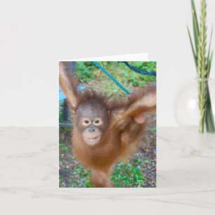 Carte Pom-pom girl : Équipe Orangutan