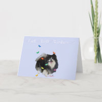 Pomeranian avec Papillons Bon rétablissement