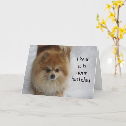 CARTE POMERANIAN DIT NE PAS **40** TOUS LES ANS CÉLÉBRER (Fleur jaune)