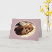 Carte Pomeranian Get Well (Fleur jaune)