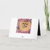 Carte Poméranien (Dos)