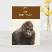 Carte Pomme de Gorille (Fleur jaune)