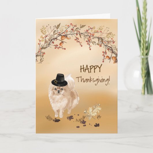 Carte Pommeranian Funny Pilgrim Casquette Thanksgiving (Devant)