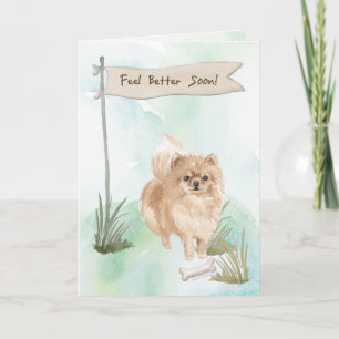 Carte Pommeranian se sentent mieux après la chirurgie à