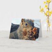 Carte Pommes à manger des écureuils (Fleur jaune)