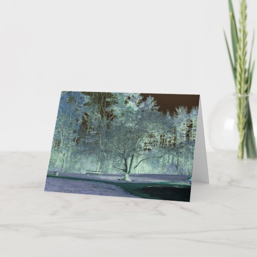 Carte Pommier Au printemps (Devant)