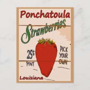 Carte Ponchatoula Strawberries