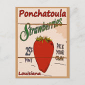 Carte Ponchatoula Strawberries (Devant)