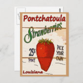 Carte Ponchatoula Strawberries (Devant / Derrière)
