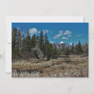 Carte Pond de Red Island