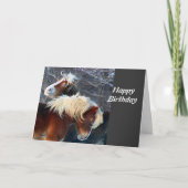 Carte poney (Devant)