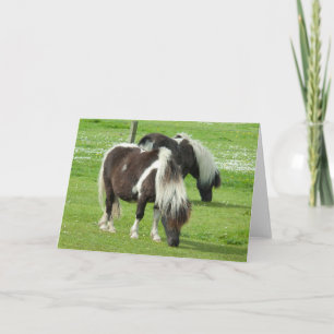 Carte Poneys de peinture Shetland pur-sang