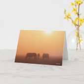 Carte Ponies Caspiennes Pâtées Dans Le Levant De Soleil  (Fleur jaune)