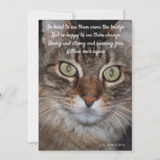 Carte Pont arc-en-ciel - Chat