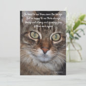 Carte Pont arc-en-ciel - Chat (Debout devant)