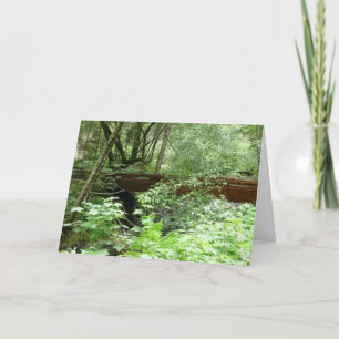 Carte Pont de Muir Woods I
