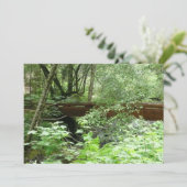 Carte Pont de Muir Woods I (Debout devant)