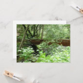 Carte Pont de Muir Woods I (Devant/Arrière en situation)