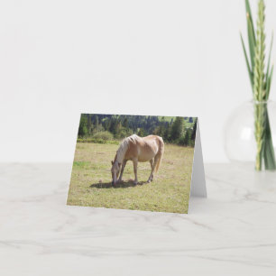 Carte Pony de palomino haflinger dans la pâture verte Ph