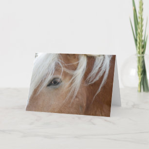 Carte Pony Greeting card
