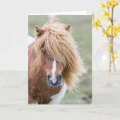 Carte Pony Shetland sur l'île d'Unst (Fleur jaune)
