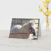 Carte Pony tacheté (Fleur jaune)