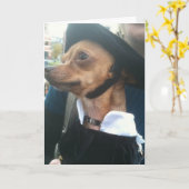 CARTE POOCH BEGS, ANNIVERSAIRE PARDON (Fleur jaune)