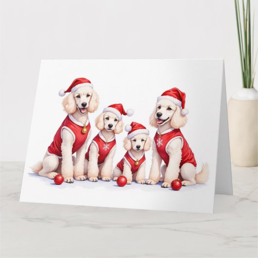 Carte Poodle Christmas Dress Santa Hat (Devant)
