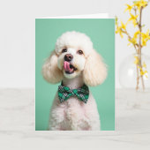 Carte Poodle Portrait Perfect Pet Card (Fleur jaune)