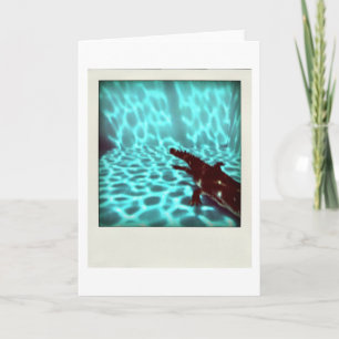 Carte Pool de David 07c04 flou 3d