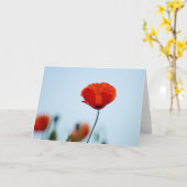 Carte Poppies dans un champ de Nidd (Fleur jaune)