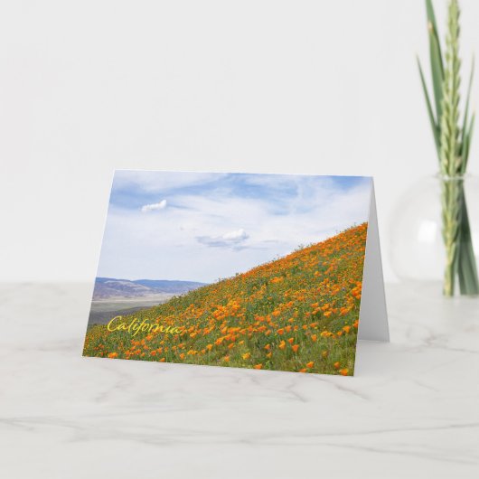 Carte Poppies de Californie (Devant)