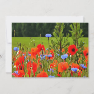 Carte Poppies Et Fleurs De Cornouailles Paysage Réaliste