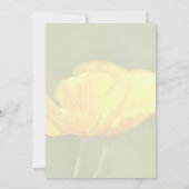 Carte Poppies orange (Dos)